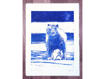blue grizzly bear