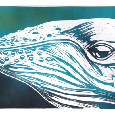 up close humpback portrait linocut