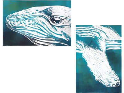 humpback whale face and fin diptych