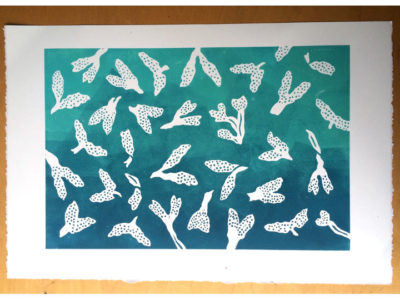 seaweed drift